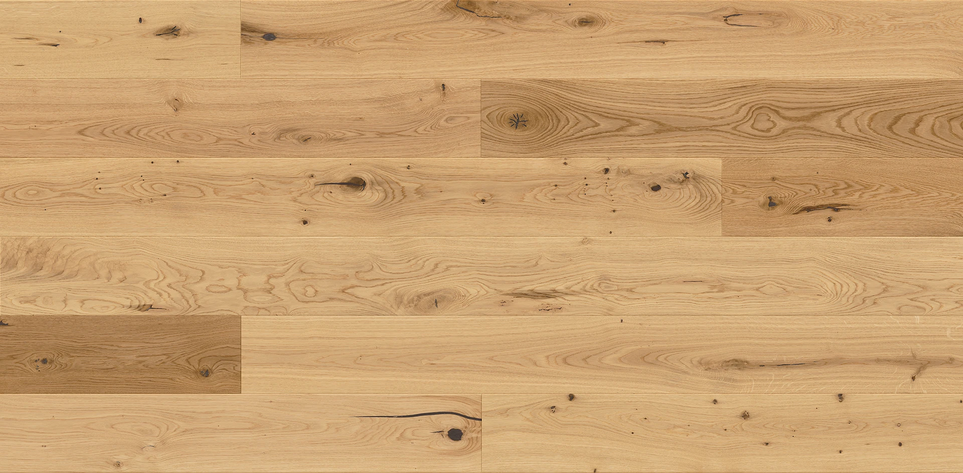 Dub Grand Canyon Grande