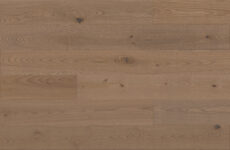 Jasan Hazelnut Grande