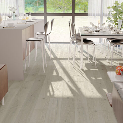 Jasan Platinium Grande