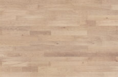 Dub Banana Song Molti