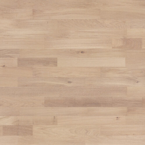 Dub Banana Song Molti