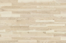 Jasan Milkshake Molti