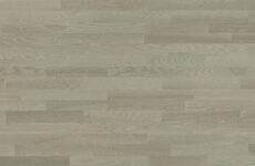 Jasan Platinium Molti