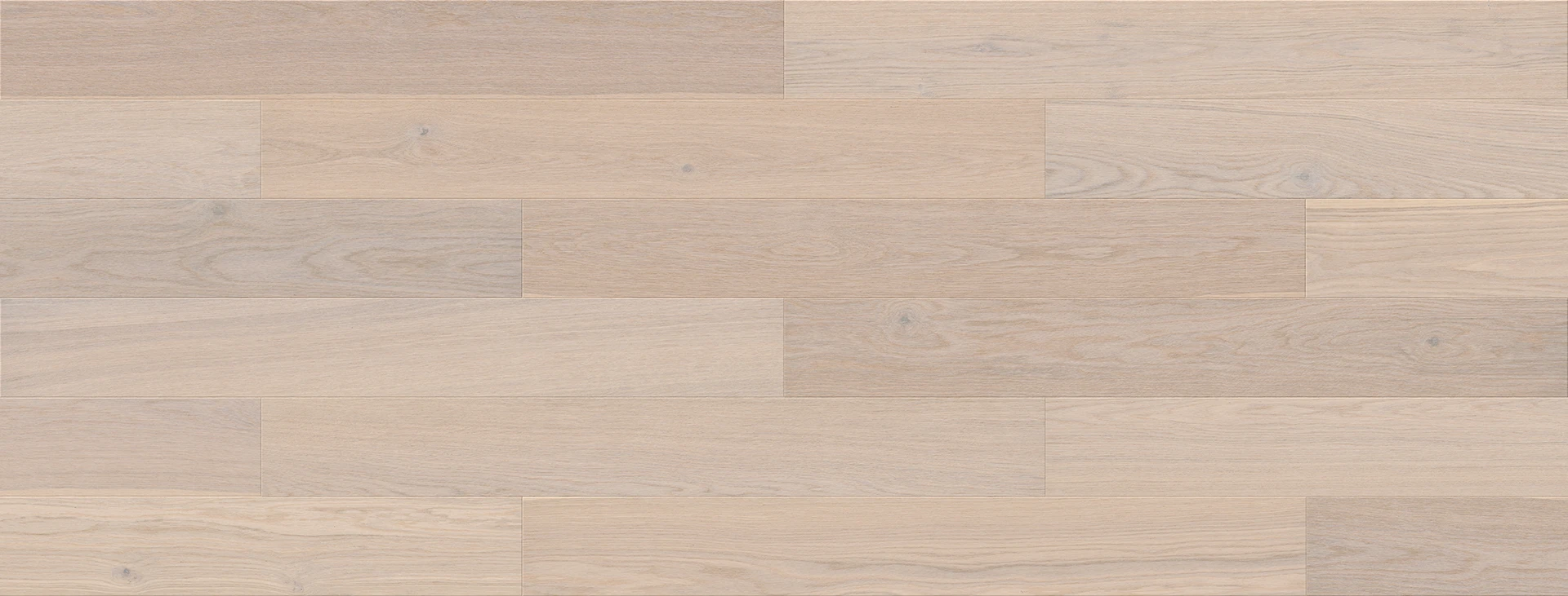 Dub Aurantis Esthetic